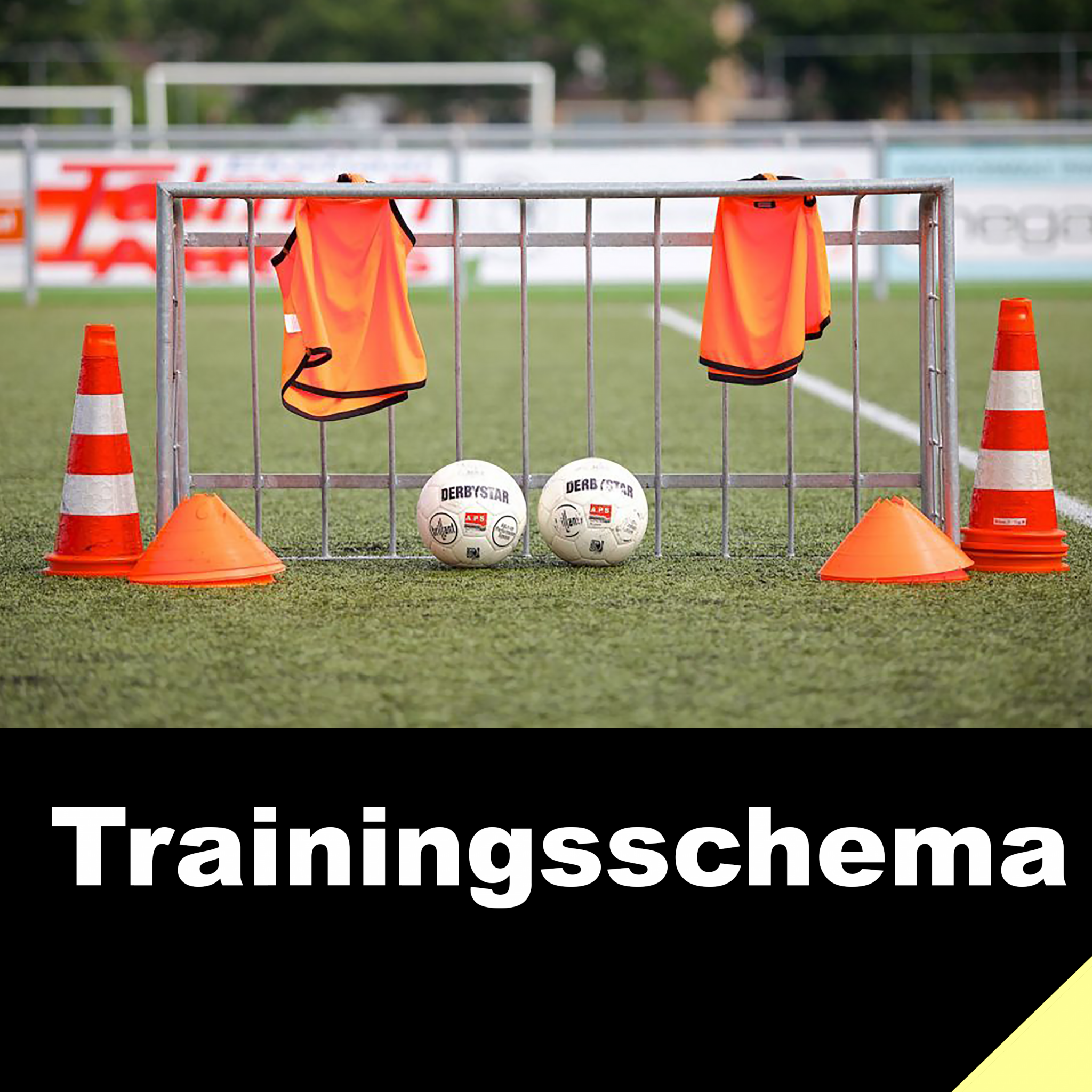 Trainingsschema seizoen 2022 - 2023 bekend (aangepast op 9 augustus 2022)